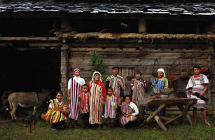 Click on the image to see it full size.