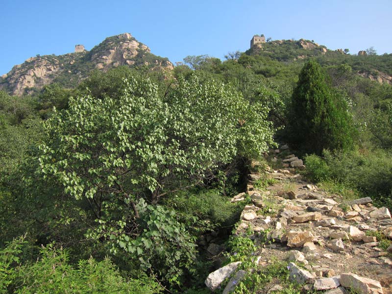 Great Wall Sections - Hefangkou Photos