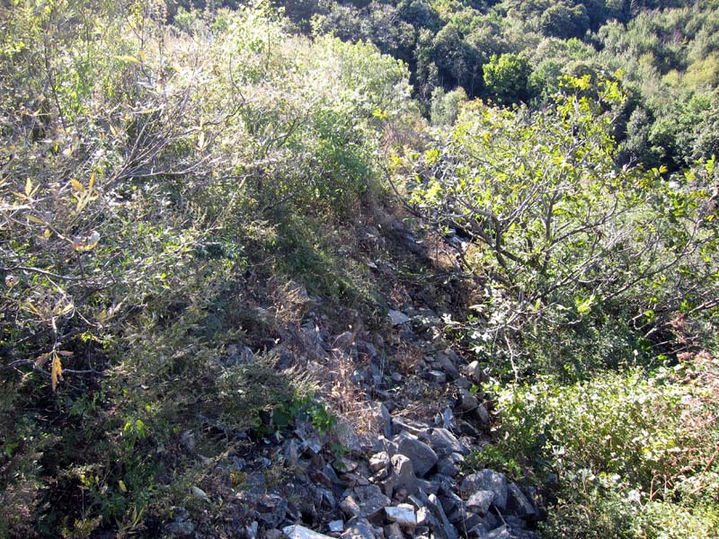 Great Wall Sections - Jiugongshan Photos