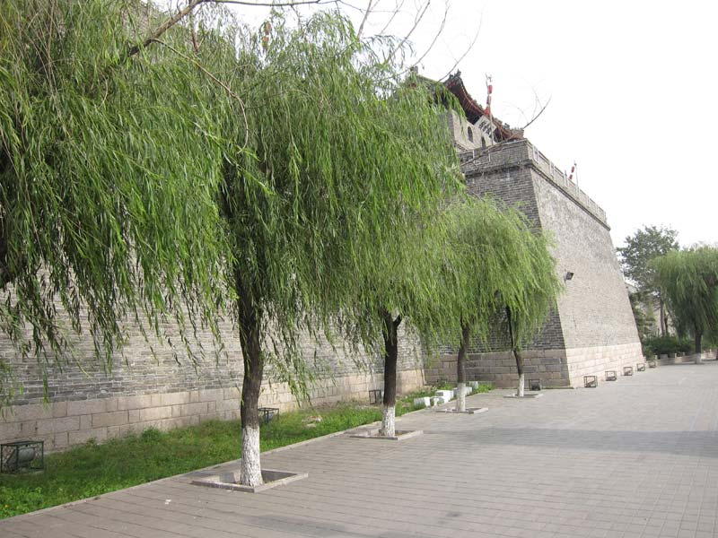 Great Wall Sections - Shanhaiguan Photos