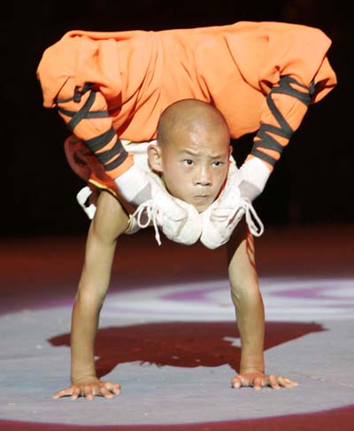 Chinese Kung Fu (Martial Arts)
